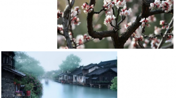 企业动态 - 偏向陶瓷